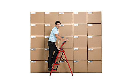 《死或生：女神璀璨假期》新预告 糖果与鞭子你要哪个